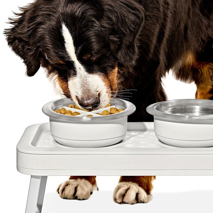 OXO Pet Easy-Clean Slow Feeder - Large, 4 Cups/950 ml - US 7432